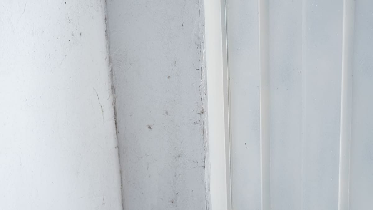 Canto de parede com manchas escuras de mofo próximo ao teto, com um balde e luvas de borracha no chão
